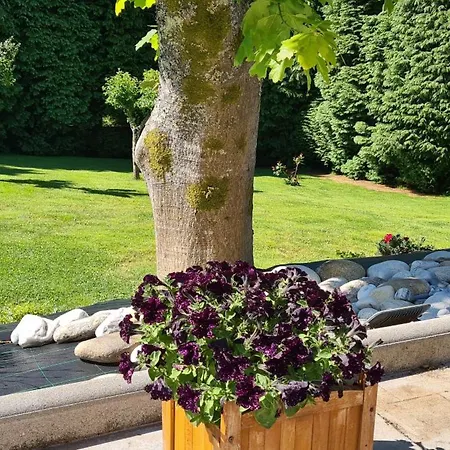 Casa Chelo Turisticos 마자리코스